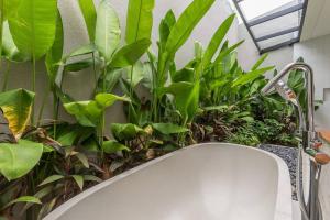 En have udenfor Modern Berawa villa in Canggu