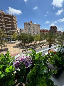 Zahrada ubytování Departamento Diseño Elche