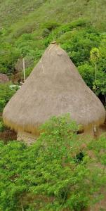 a hut with a straw roof in a field at Alojamiento eco amigable in Chachapoyas +3 photos