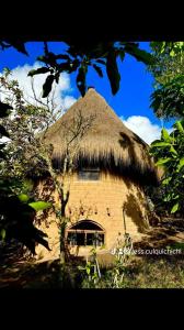 a hut with a thatched roof on top of it at Alojamiento eco amigable in Chachapoyas