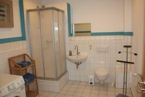 a bathroom with a shower and a sink and a toilet at City-Apartment "royshell" in Güstrow +11 photos