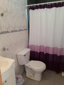a bathroom with a toilet and a shower curtain at Casa Jardín del Mar- Reñaca Beach-Frente a Unimarc in Viña del Mar