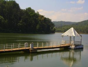 a wooden bridge in the middle of a lake at Prestige nature homestay in Avathi