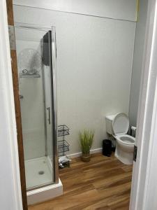 a bathroom with a shower and a toilet in it at City-Centre Studio · Self-Contained · Sleeps 3 in Nottingham +15 photos
