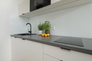 Kuchyňa alebo kuchynka v ubytovaní Gagarina Warszawa Przytulne Studio by Noclegi Renters