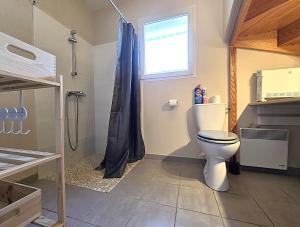 a bathroom with a toilet and a window and a shower at Le Clos Andrée - Charmante maison 8 personnes - 5 lits - Climatisation réversible RDC - Parking 3 véhicules - Garage - Zone Nord Montauban - Terrasse et jardin in Montauban