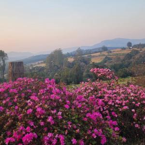Příroda nedaleko prázdninového domu
