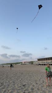 デ・コーフにあるBnB Westerduinen, De Bollekamerの凧二人