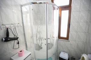a bathroom with a shower with a potted plant in it at Guesthouse Alemannia in Berat +74 photos