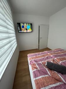 TV a/nebo společenská místnost v ubytování CASA BOX APARTMENT Free garage
