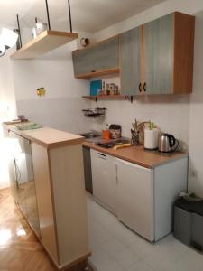 Kuchyň nebo kuchyňský kout v ubytování Alex Apartment