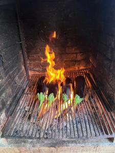 Gril dostupný pro hosty v prázdninového domu