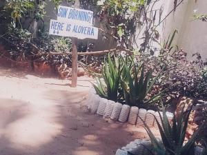 Gallery image of Maua beach in Kizimkazi