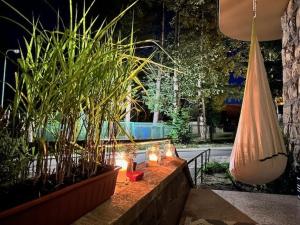 Ogród w obiekcie Apartament u Maliny
