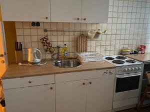 kuchnia ze zlewem i kuchenką w obiekcie Apartament u Maliny w mieście Krynica Zdrój