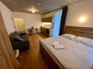 弗尔赫拉比Apartmán pod sjezdovkou的一间带床、椅子的卧室和一间厨房