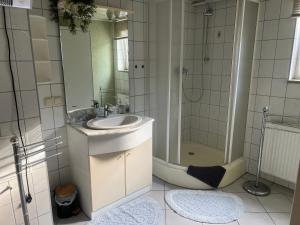 a bathroom with a sink and a shower at Ferienwohnung in Münchenbernsdorf