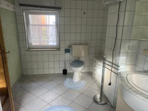 a bathroom with a toilet and a sink and a window at Ferienwohnung in Münchenbernsdorf