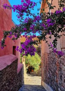 En have udenfor Elégant T2 60m2 classé 5 étoiles, quartier typique et calme, plages et centre à pied, parking privé + 12 billeder