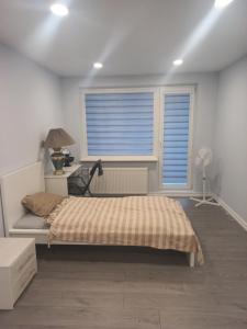 Gambar di galeri bagi NewStown Apartamentai di Naujoji Akmenė