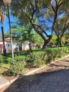 Κήπος έξω από το Camping los Gazules +8 φωτογραφίες