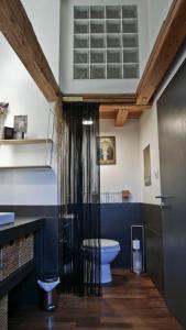 a bathroom with a toilet and a window in it at Apartement Strasbourg entre hypercentre et verdure in Bischheim +25 photos