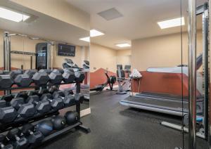 Palestra o centro fitness di Academy Plaza Hotel
