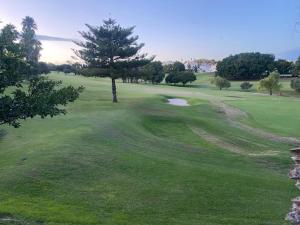 a golf course with a tree on a green at Appartement Golf Campoamor Orihuela Costa in Orihuela