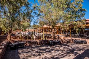 Κήπος έξω από το Hotel Cumbres San Pedro de Atacama