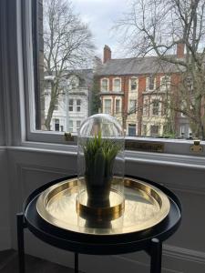 een glazen koepel met een plant op een tafel voor een raam bij Townhouse in Belfast in Belfast