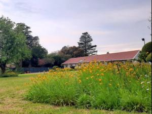 ヨハネスブルグにあるFairlands Luxury Apartmentsの建物前の花畑