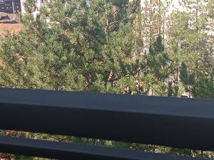 Fotografija u galeriji objekta Apartman Mina na Zlatiboru