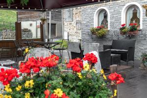 Zahrada ubytování Hotel Pedranzini