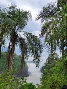 Una vista de un río entre dos palmeras. en La Escondida, en Puerto Leoni