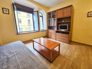 TV a/nebo společenská místnost v ubytování Apartamentos Canfranc 3000