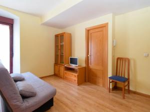 TV a/nebo společenská místnost v ubytování Apartamentos Canfranc 3000