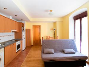 Kuchyň nebo kuchyňský kout v ubytování Apartamentos Canfranc 3000