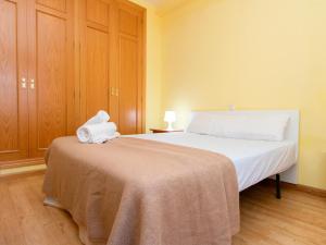 Postel nebo postele na pokoji v ubytování Apartamentos Canfranc 3000