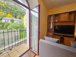 TV a/nebo společenská místnost v ubytování Apartamentos Canfranc 3000