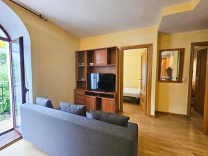 TV a/nebo společenská místnost v ubytování Apartamentos Canfranc 3000