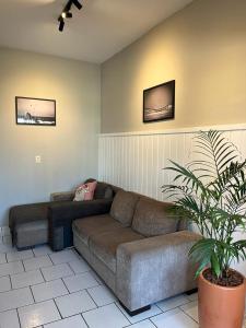 a living room with a couch and a plant at Casa na praia com churrasqueira - Bal. Camboriú in Balneário Camboriú