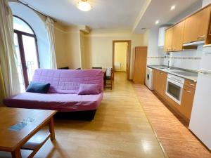 Kuchyň nebo kuchyňský kout v ubytování Apartamentos Canfranc 3000