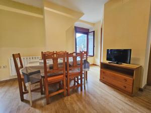 TV a/nebo společenská místnost v ubytování Apartamentos Canfranc 3000