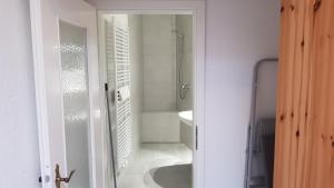 ein weißes Badezimmer mit Dusche und Toilette in der Unterkunft Altstadtloft Lüneburg in Lüneburg