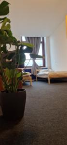 a potted plant in a room with a bedroom at Ausblick Freital 3 in Freital
