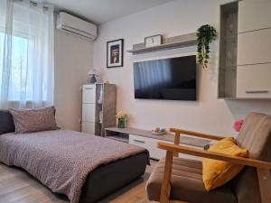 a living room with a couch and a flat screen tv at Studio apartman Mirta II in Varaždin
