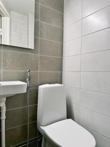 ein Badezimmer mit einer weißen Toilette und einem Waschbecken in der Unterkunft 1BR Demure Design Urban Living Space in Helsinki + 16 Fotos