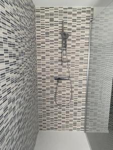 a shower in a bathroom with a tiled wall at Gîte L'Atelier d'Emile in Baigneux-les-Juifs +6 photos