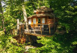 Příroda nedaleko luxury tent