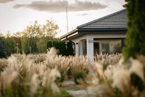 Foto dalla galleria di Hotel Roś a Pisz